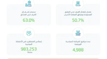 الإحصاءات: زيادة نسبة إشغال الغرف في الفنادق بنسبة 63% خلال الربع الأول من عام 2025