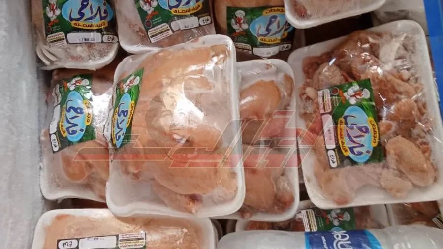 إصدار محاضر بشأن غياب الشهادات الصحية والإعلان عن الأسعار في كفر الشيخ