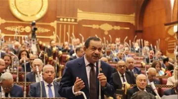 رئيس لجنة الزراعة في مجلس الشيوخ: 30 يونيو يشهد قفزة في الإنتاج الزراعي في البلاد