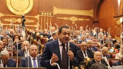 رئيس لجنة الزراعة في مجلس الشيوخ: 30 يونيو يشهد قفزة في الإنتاج الزراعي في البلاد
