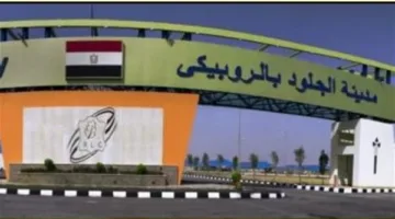 إطلاق الدفعة الثانية في مدينة الجلود بالروبيكي على منصة مصر الصناعية الرقمية