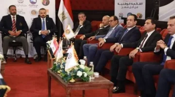 الحزب المصري الديمقراطي الاجتماعي: نشارك في انتخابات مجلس الشيوخ رغم تحفظاتنا على القانون