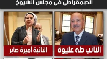 تحيا مصر: مرشحو الحزب المصري الديمقراطي ضمن القائمة الوطنية لمجلس الشيوخ