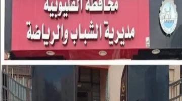 مديرية صحة القليوبية تُعلن عن النتائج المتعلقة بفعاليات القوافل الطبية