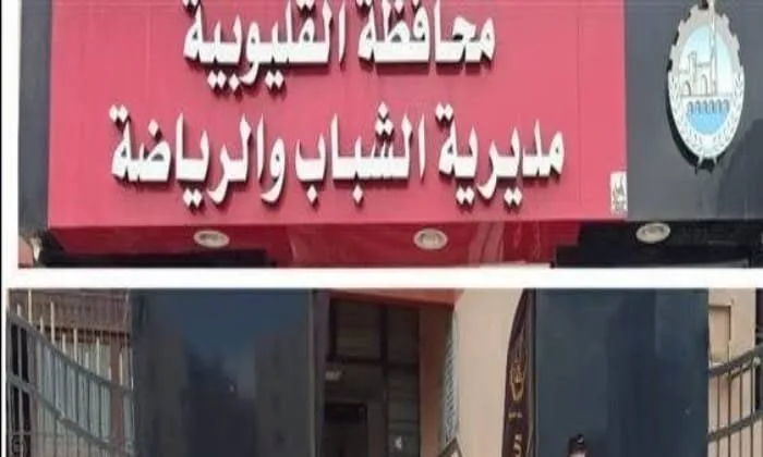 مديرية صحة القليوبية تُعلن عن النتائج المتعلقة بفعاليات القوافل الطبية مديرية صحة القليوبية تُعلن عن النتائج المتعلقة بفعاليات القوافل الطبية