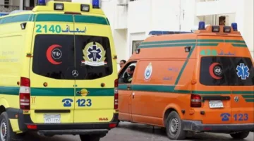 حادثة مؤلمة في طوخ.. وفاة شاب من طلائع الجيش وصديقه تحت عجلات القطار