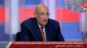 دبلوماسي: التعاون العربي الموحد أثمر نتائج إيجابية لصالح القضية الفلسطينية