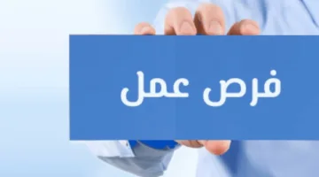 مرتبات تصل إلى 10 آلاف جنيه.. وزارة العمل تقدم فرص عمل في محطات المترو