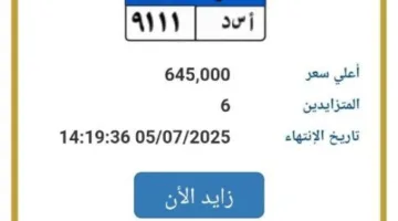 تجاوزت عتبة المليون جنيه.. مزايدة مثيرة على رقم لوحة سيارة فريدة