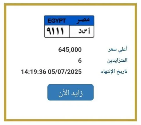تجاوزت عتبة المليون جنيه.. مزايدة مثيرة على رقم لوحة سيارة فريدة