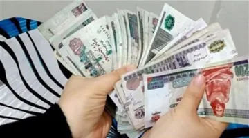 قبل تحديد سعر الفائدة.. استكشف أعلى شهادات الادخار في البنوك المصرية من حيث العائد.