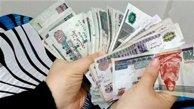 قبل تحديد سعر الفائدة.. استكشف أعلى شهادات الادخار في البنوك المصرية من حيث العائد.