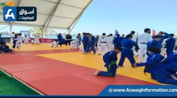 رئيس جهاز القرى السياحية: بدء فعاليات معسكر أكاديمية مصر للجودو في مارينا