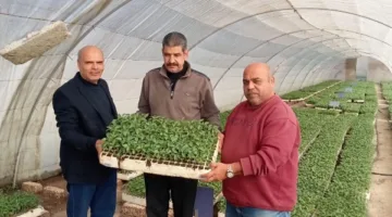 الزراعة: تصدير 1.2 مليون شتلة من الفراولة و343 ألف ثمرة فاكهة