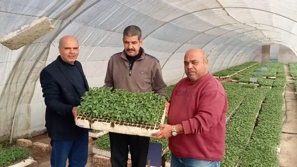 الزراعة: تصدير 1.2 مليون شتلة من الفراولة و343 ألف ثمرة فاكهة الزراعة: تصدير 1.2 مليون شتلة من الفراولة و343 ألف ثمرة فاكهة