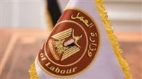 وزارة العمل: فرص عمل جديدة برواتب تصل إلى 13 ألف جنيه في مجال الكهرباء