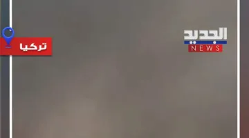 استمرار حرائق الغابات في اسطنبول! (فيديو)