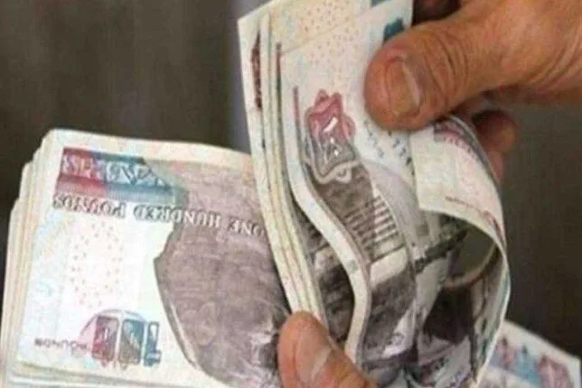 متى سيفتتح العمل بقرار ترقية الموظفين في الدولة؟ وما هي نسبة زيادة الرواتب؟ متى سيفتتح العمل بقرار ترقية الموظفين في الدولة؟ وما هي نسبة زيادة الرواتب؟