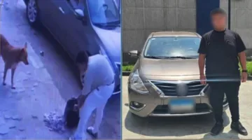 القبض على متهم بقتل كلاب شاردة في الجيزة