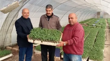 وزارة الزراعة تمنح تراخيص لـ 352 صوبة ومشتل في يونيو