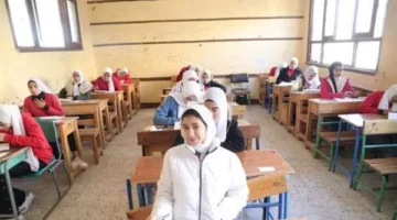 نتيجة دبلوم التجارة والصناعة والزراعة 2025 باستخدام رقم الجلوس