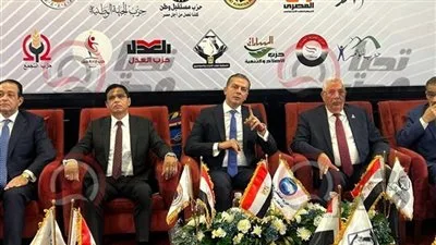 النائب أحمد عبد الجواد: القائمة الوطنية تعبر عن التوافق السياسي الحالي في مصر