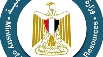 وزارة البترول تنبه المواطنين بشأن إعلانات التوظيف المزيفة على وسائل التواصل الاجتماعي
