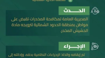 أجهزة مكافحة المخدرات في الحدود الشمالية تلقي القبض على مواطن بتهمة ترويج الحشيش.