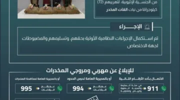 حرس الحدود في عسير يعتقل أربعة أشخاص لتهريبهم 72 كيلوغرامًا من نبات القات المخدر.