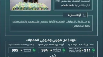 حرس الحدود في جازان يعتقل ثلاثة أشخاص لمتهم بتهريب 140 كيلوغرامًا من مخدر القات