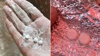 جريمة حرب جديدة: ردود فعل غاضبة بعد العثور على مخدرات في مساعدات غزة.