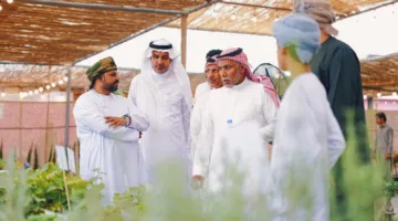 إطلاق الدورة الثالثة من فعالية “رمانة” في الجبل الأخضر
