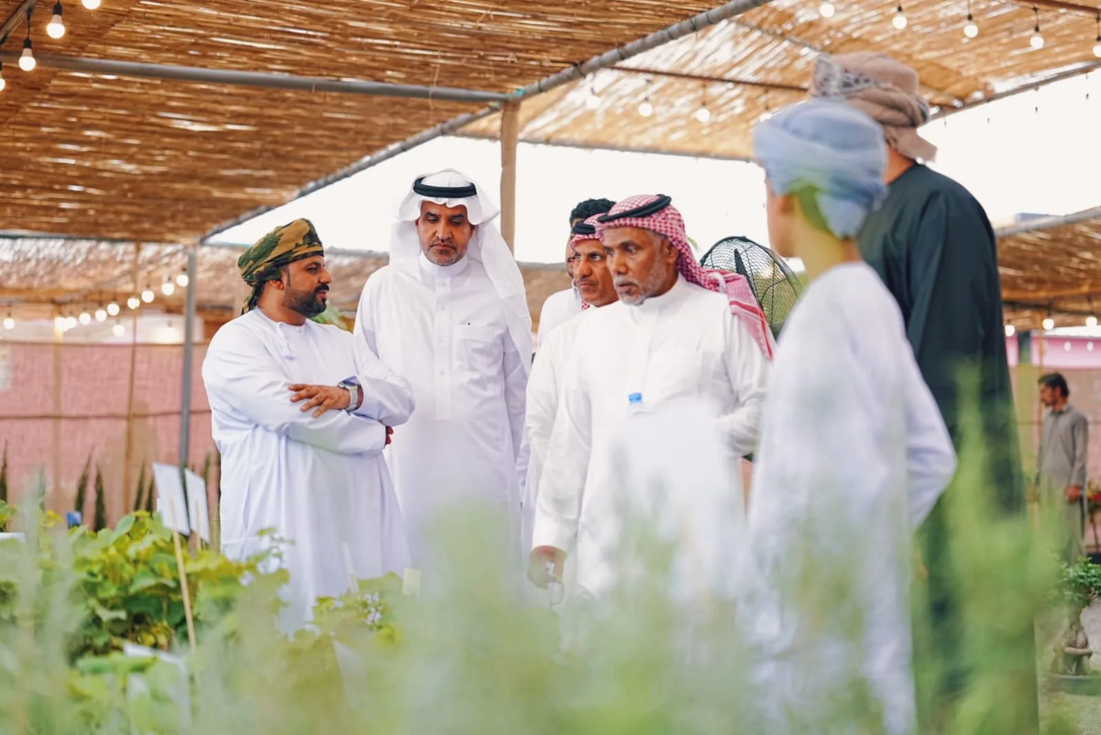 إطلاق الدورة الثالثة من فعالية “رمانة” في الجبل الأخضر