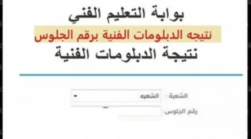 عاجل | موعد إعلان نتائج الدبلومات الفنية 2025 الدور الأول برقم الجلوس.. تحقق منها فور صدورها