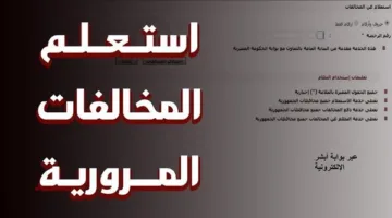 النيابة العامة توفر خدمة التحقق من المخالفات عبر الإنترنت باستخدام رقم لوحة السيارة.. رابط مباشر
