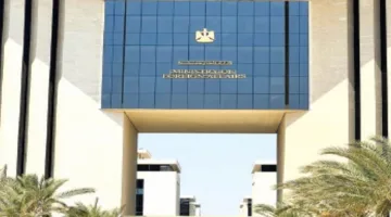 الدبلوماسية المصرية: من مواجهة الحصار إلى تعزيز الشراكات الاستراتيجية