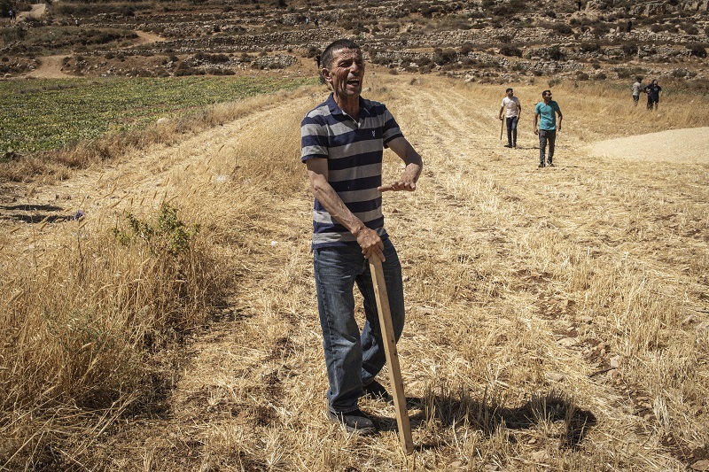 من سنجل (ا ف ب)