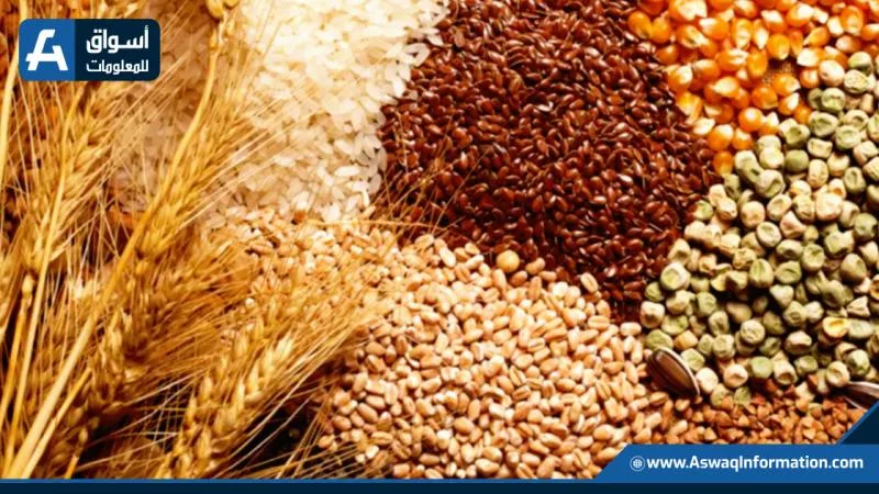 زيادة مخزونات الحبوب إلى أعلى مستوياتها خلال سنوات عديدة