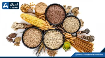 مدفوعًا بالأرز والذرة.. منظمة الفاو ترفع تقديراتها لاستهلاك الحبوب على مستوى العالم