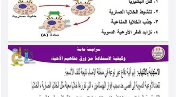 احصل على أعلى درجة وراجع بفعالية: مراجعة ليلة امتحان الأحياء للثانوية العامة 2025 مع الإجابات.