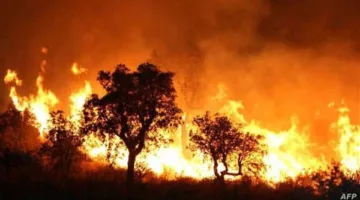 السلطات السورية تقوم بإ evacuating القرى والمناطق السكنية بسبب حرائق الغابات في اللاذقية