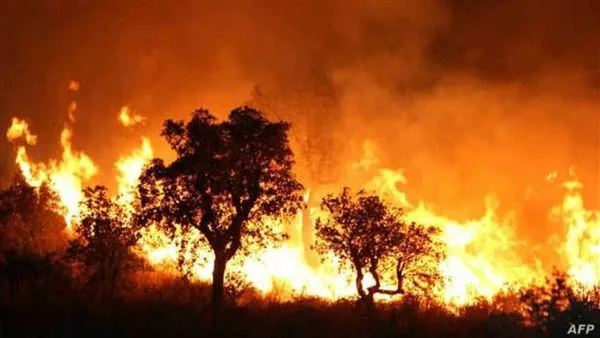 السلطات السورية تقوم بإ evacuating القرى والمناطق السكنية بسبب حرائق الغابات في اللاذقية السلطات السورية تقوم بإ evacuating القرى والمناطق السكنية بسبب حرائق الغابات في اللاذقية