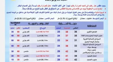 بسبب هذه الظاهرة.. تحديث عاجل من هيئة الأرصاد حول توقعات الطقس ليوم السبت 5 يوليو 2025