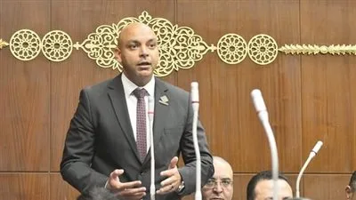 النائب محمود القط لسمية وهبة: التنسيقية قدمت أداءً متميزاً النائب محمود القط لسمية وهبة: التنسيقية قدمت أداءً متميزاً