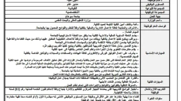 فرص عمل في جامعة سوهاج 2025: التخصصات المطلوبة، المستندات، الشروط، وطرق التقديم – الموعد النهائي غداً