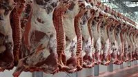 الزراعة: مصر تحقق 60% من اكتفائها الذاتي في اللحوم وتصل لنسبة قريبة من الاكتفاء في الدواجن