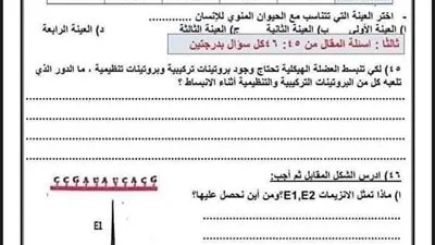 46 سؤال أحياء متوقع ظهورها في امتحان الثانوية العامة 2025 مع الإجابات، بنسبة 99% 46 سؤال أحياء متوقع ظهورها في امتحان الثانوية العامة 2025 مع الإجابات، بنسبة 99%
