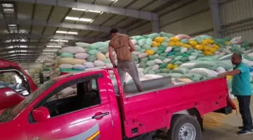 الجهات المعنية تواصل جهودها المكثفة لمراقبة الأسواق ومواجهة المتلاعبين بأسعار الخبز المدعوم وغير المدعوم.