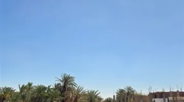 توقعات الطقس في محافظة الوادي الجديد اليوم السبت