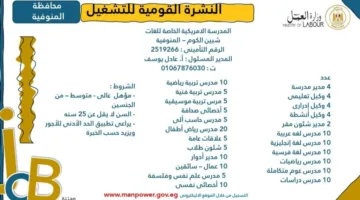 وزارة العمل تكشف عن فرص عمل جديدة في محافظة المنوفية.. اكتشف التفاصيل